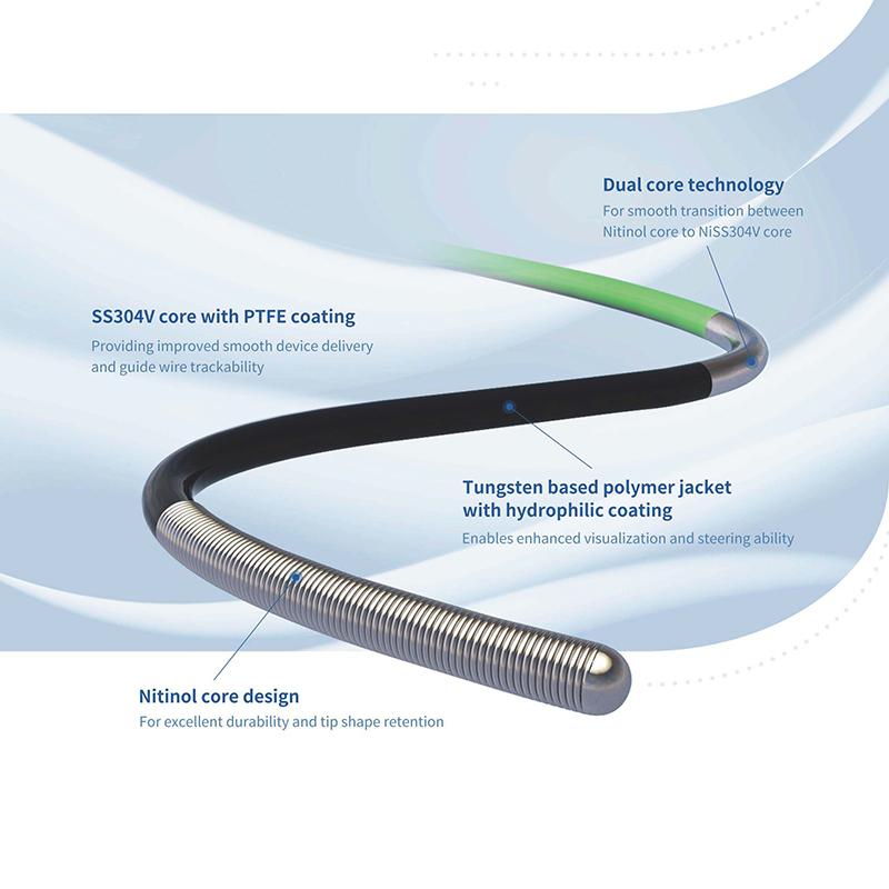 PTCA Guidewire (1)