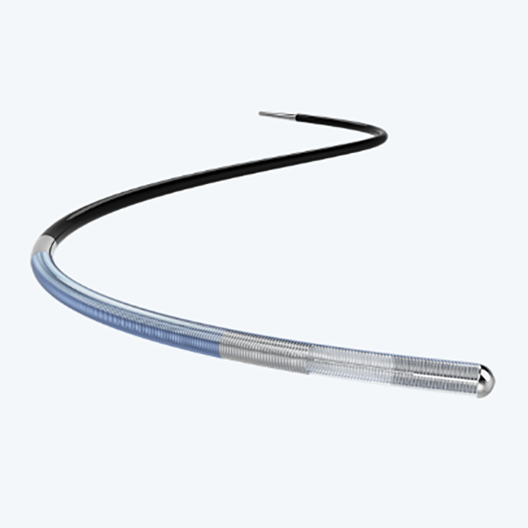PTCA Guidewire (3)