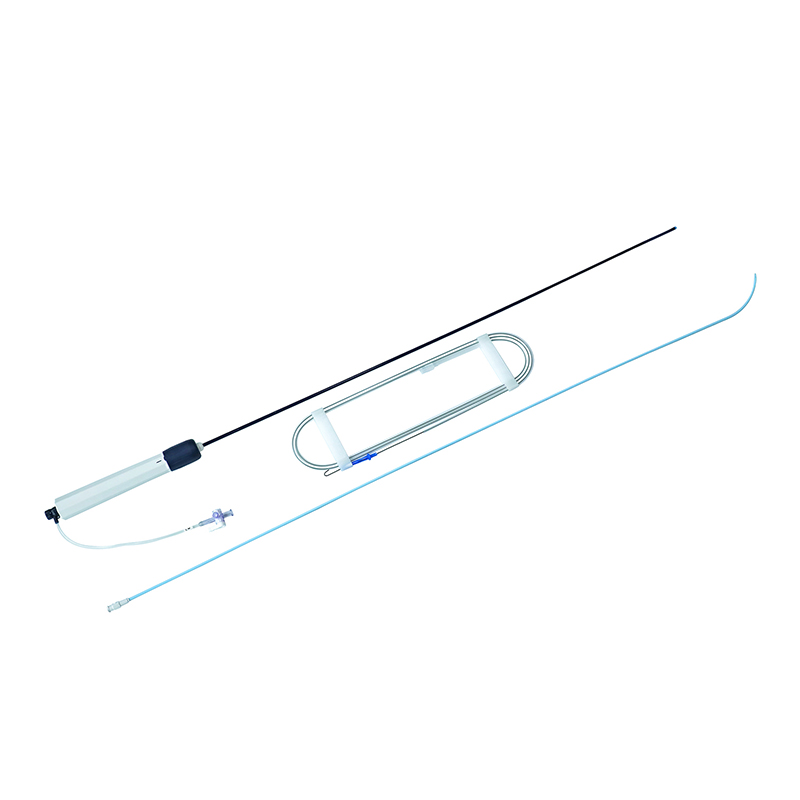 Steerable Intracardiac Catheter (3)