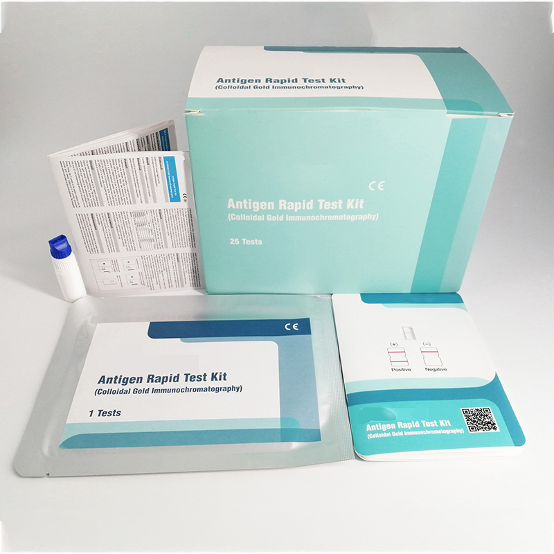 antigen rapid test 2