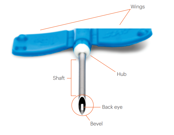 structure of AVF needle